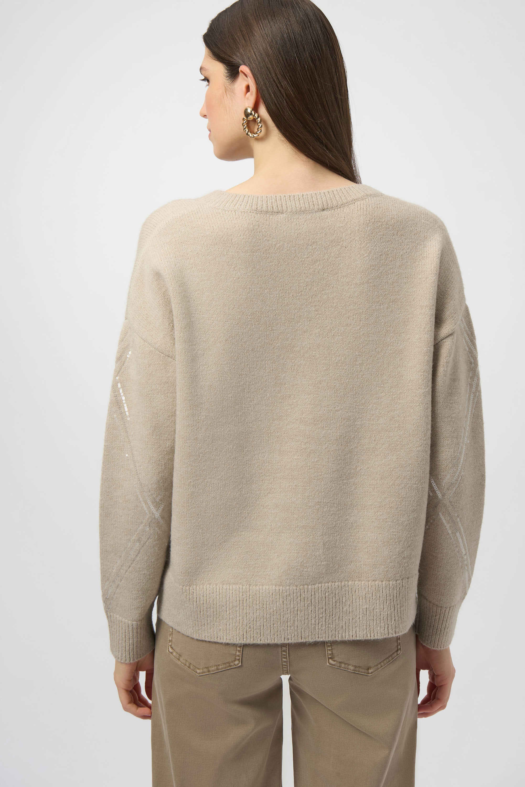 Sweater Knit Pullover with Sequins (254949)