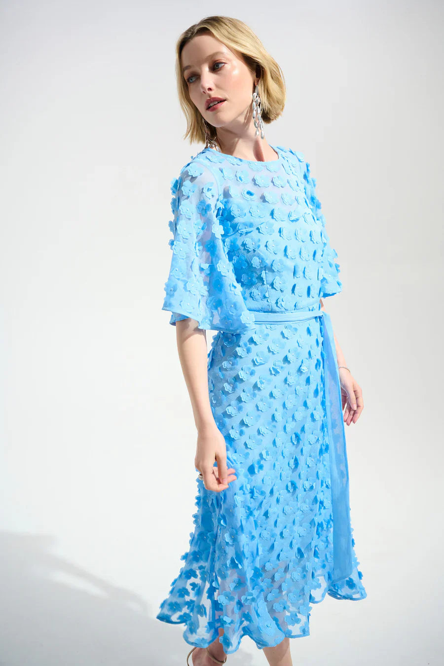 3D Embroidered Chiffon Fit And Flare Dress With Sash Belt (261738)