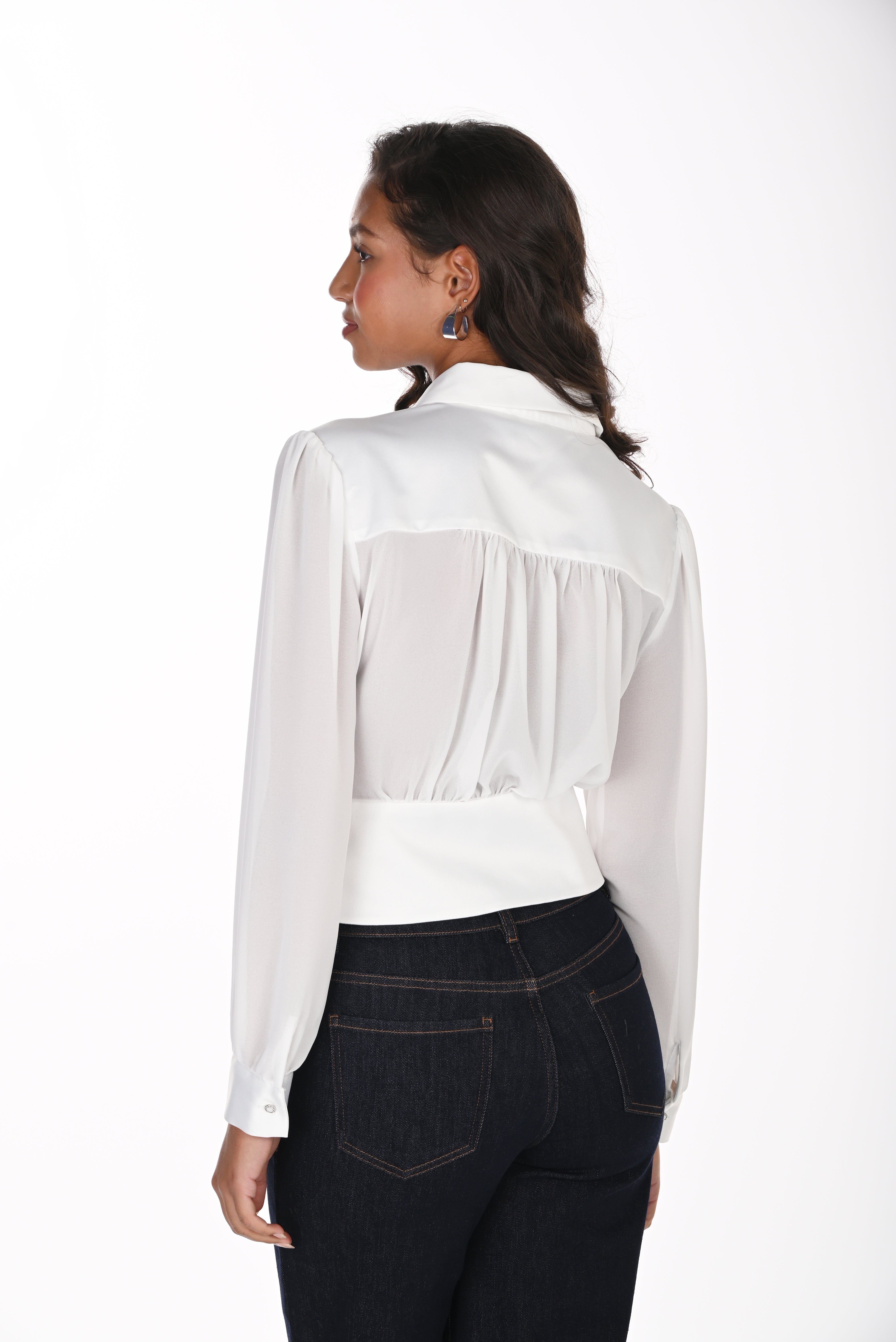 Sheer Sleeved Blouse (264805)